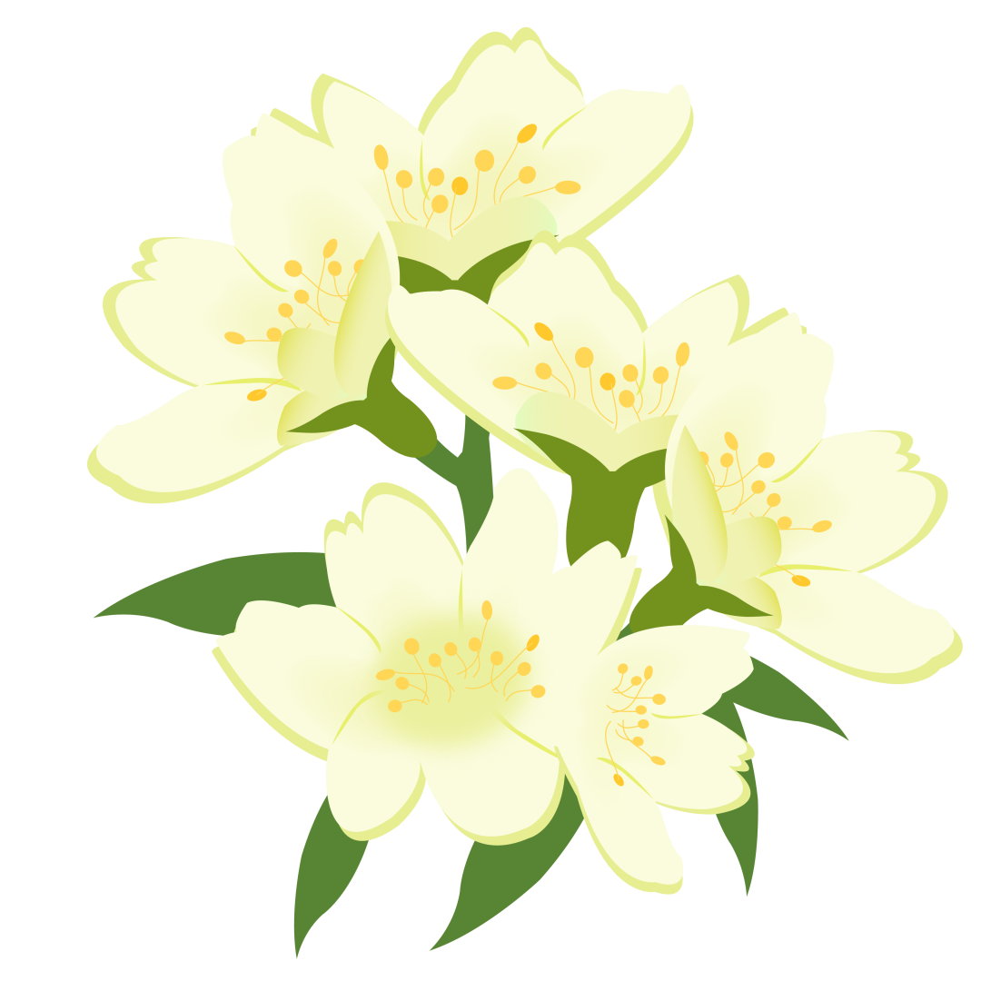 172051msb3vu74scu57bdu.png