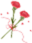 172151sps5b9vcp8nbg1r8.png