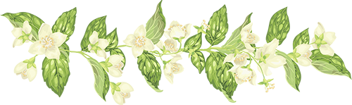 174210gm8q22oq2quvquon.png