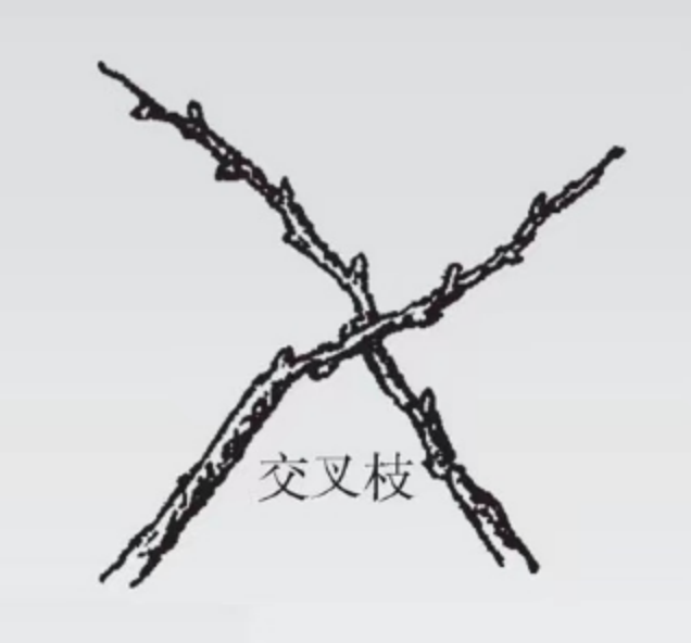 131805kzfk6xc9laez5c82.png