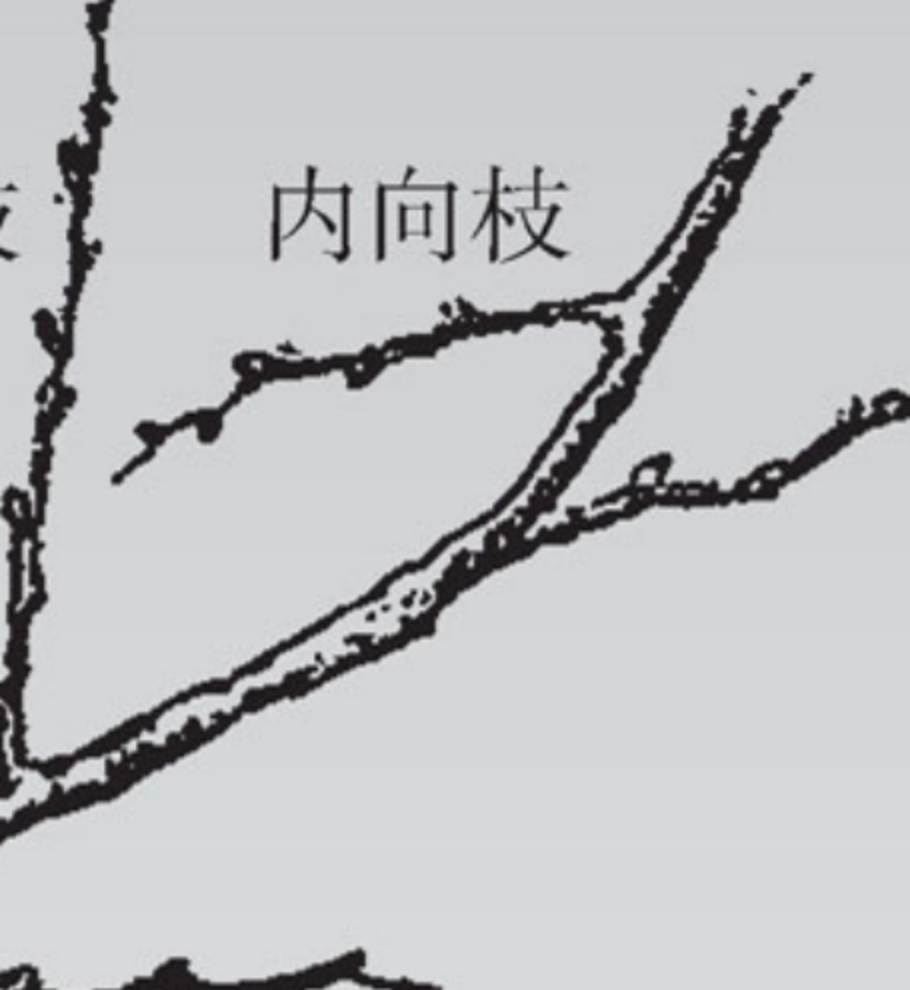 131811cp7lgi98ltjkfz8o.png