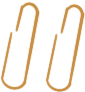 152750n0susenww44segz5.png