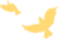 171645g1vp666zf7nnn1mn.png