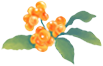 164033jizry79ev21gtocz.png