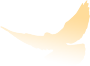 164453b21wgbk8wbjw387g.png