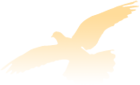 164454vf3xl3fxhfz3b3xx.png