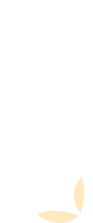 164458q7bnx7zqqqde67cu.gif