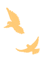 133656lsfuaq1ccvmkcvgv.gif