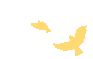 094729qtw6gglo96ekbtnm.gif