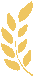 095611kecw99948ecmzccw.gif