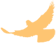 095615v8sjvfty998yyjtp.png