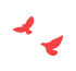 105827q8z9frf1zjfqqsfk.gif