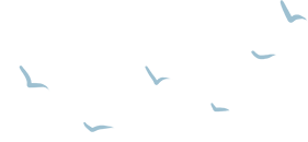 170719n862f46fylm686ha.png