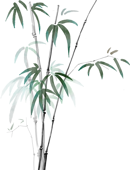 170720g7coyc20qs773zi9.png