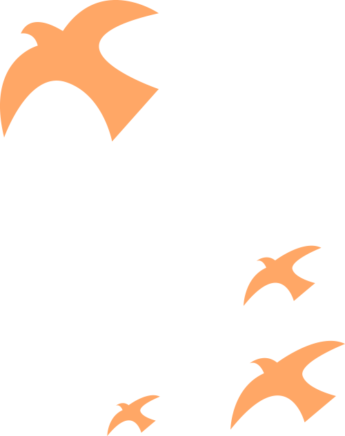 170955av3lq9rlhhylgull.png
