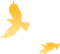 084351oc7zoi447b722z2u.png