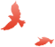 105727xot6uaqisgmam944.png