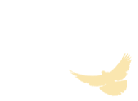 105729c6hdotbbqoq2sd59.gif