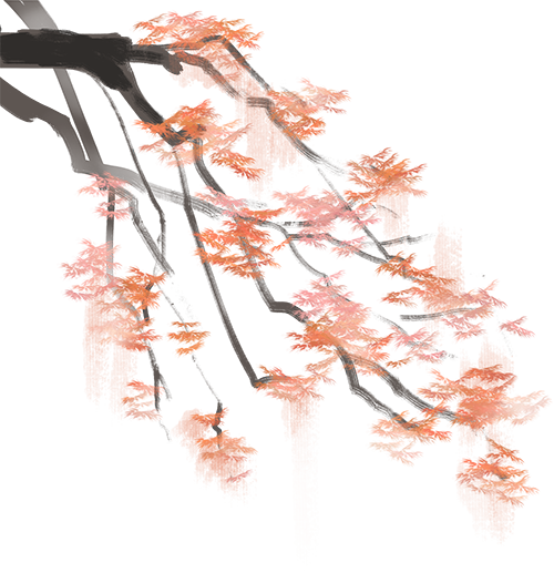 113157riqd3ck533d160g3.png