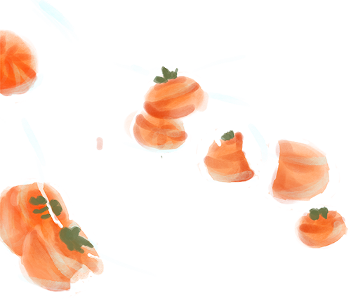 165524ia4d355kz4xc5xlc.png