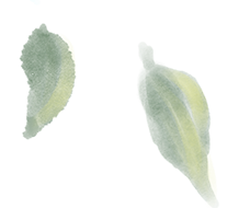 165524l676w3ow27tgn5we.png
