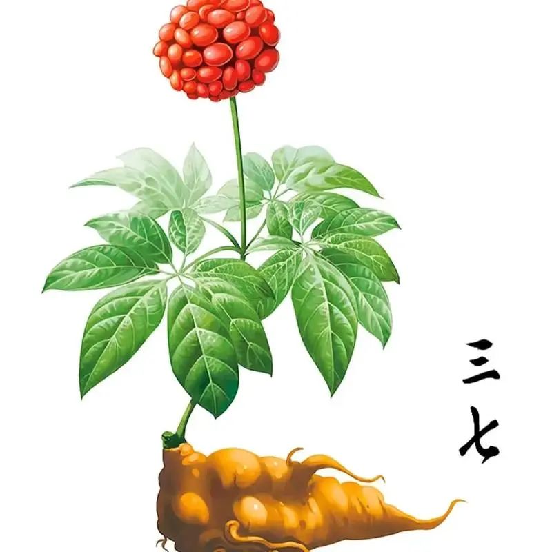 165525lqpstltddekddotp.jpeg