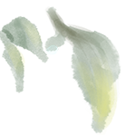 165524fyr5yhcmrdd4arry.png
