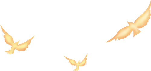 173113mbb9ub8bo1wqkvgk.png