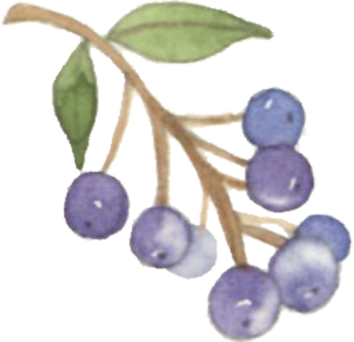 102222n809thmatcpppjcp.png