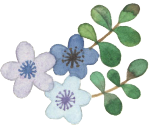 102226sy337zw573jwaani.png