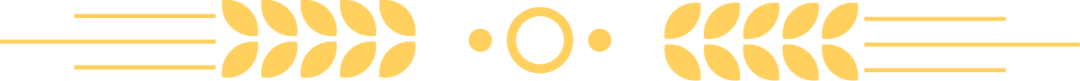 102650qsbqnlwt6k486lkn.png