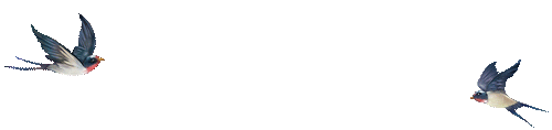 162639ssook777mpmgatbm.gif