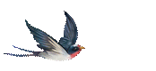 162741pyoin2942ipu9pqd.gif