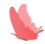 093610ko7f4rc4c5rovaif.gif