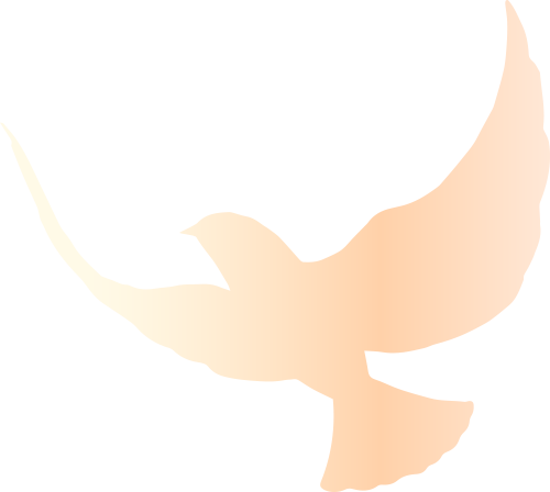 172949vyqq222dwdljjeqj.png