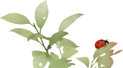 104700s19twwmmtysu91z1.png