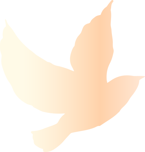 104703o6z7843rlv4z55z9.png