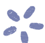 162748p4prezzvprv1rnjn.png