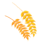 120041t42qrt8t8e5ttt02.gif