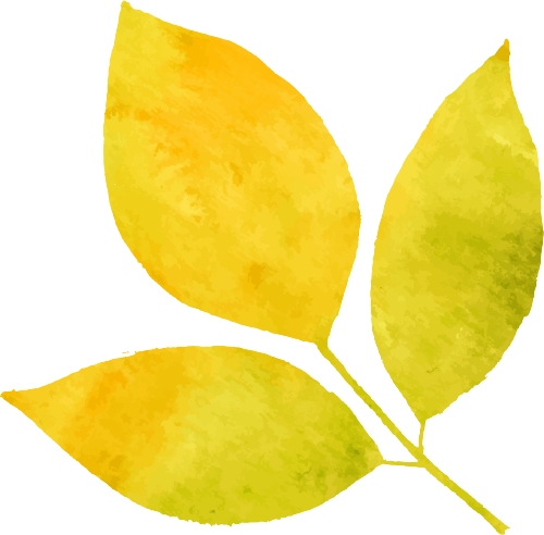 102510o5ld5ul503652q2p.png