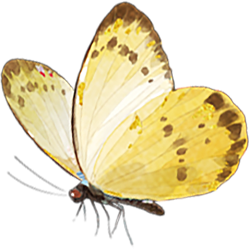 155039p1d8n01kf3j1g185.png