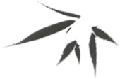104126rhymdmd00lzjddmd.png