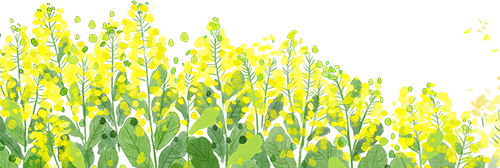 160734ls74edvgagqaywjn.png