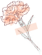 094850zhbss2ivo2iihb2b.png