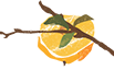 101031dx506mwx2d5d5zum.png