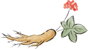 101629yk445mcqgz1mk1y4.png