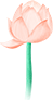 111900jcatqtrctcnhqcnt.png
