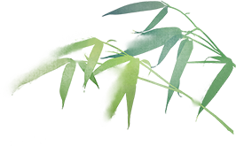 111901g11ugga1wjmfqzpw.png