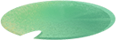 111901xgxoeersqzsxaeom.png