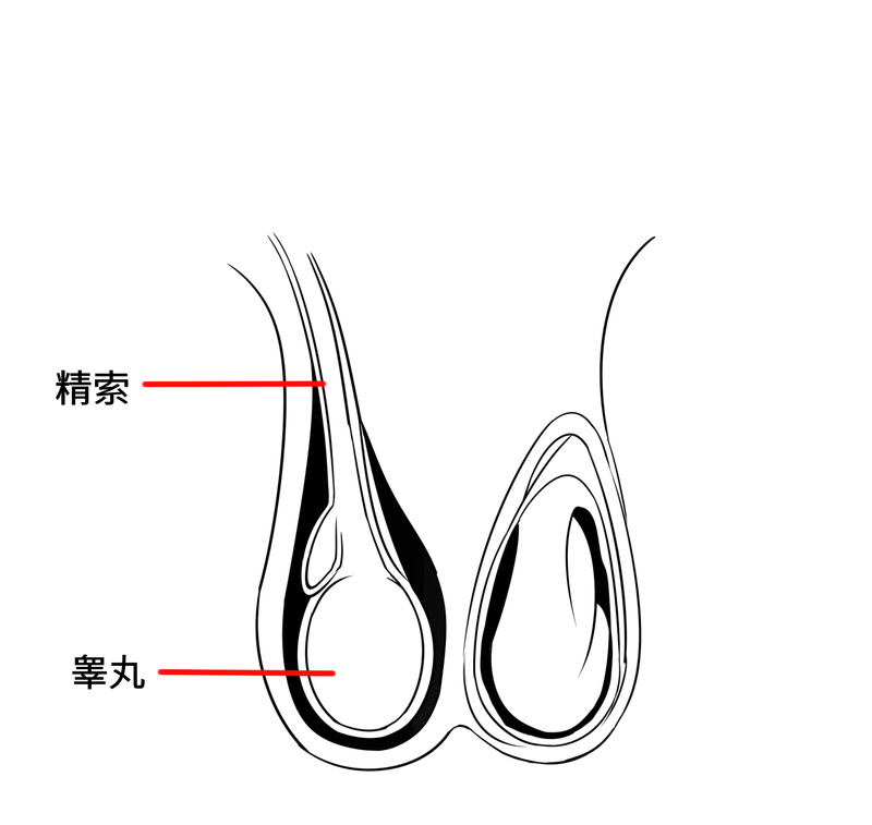 171727csymzyb5eaf1n7y0.png